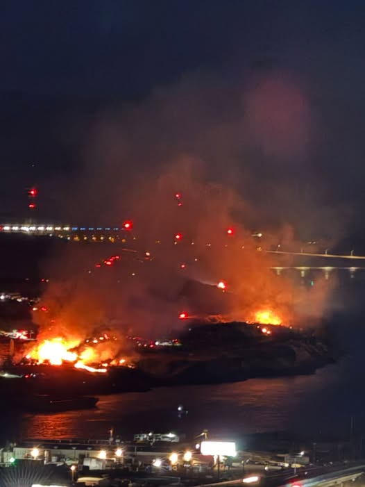 Boreal Forest Wildfires: Massive Fires Continue to Impact Canada’s Northern Wilderness