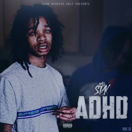 GMO Stax "Rayshawn Hudgins" Accident Oak Park MI Death Obituary: Chicago Community Mourns After Fatal Oak Park Shooting